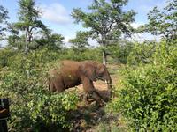 IMG_20190108_074120 &ndash; &copy; Philip Seidel (Eberhardt TRAVEL)