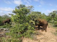IMG_20190108_074250 &ndash; &copy; Philip Seidel (Eberhardt TRAVEL)
