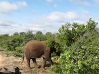 IMG_20190108_074346 &ndash; &copy; Philip Seidel (Eberhardt TRAVEL)