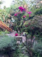 Knysna: Hotel The Graywood &ndash; &copy; Magda-Viola Hanke (Eberhardt TRAVEL)