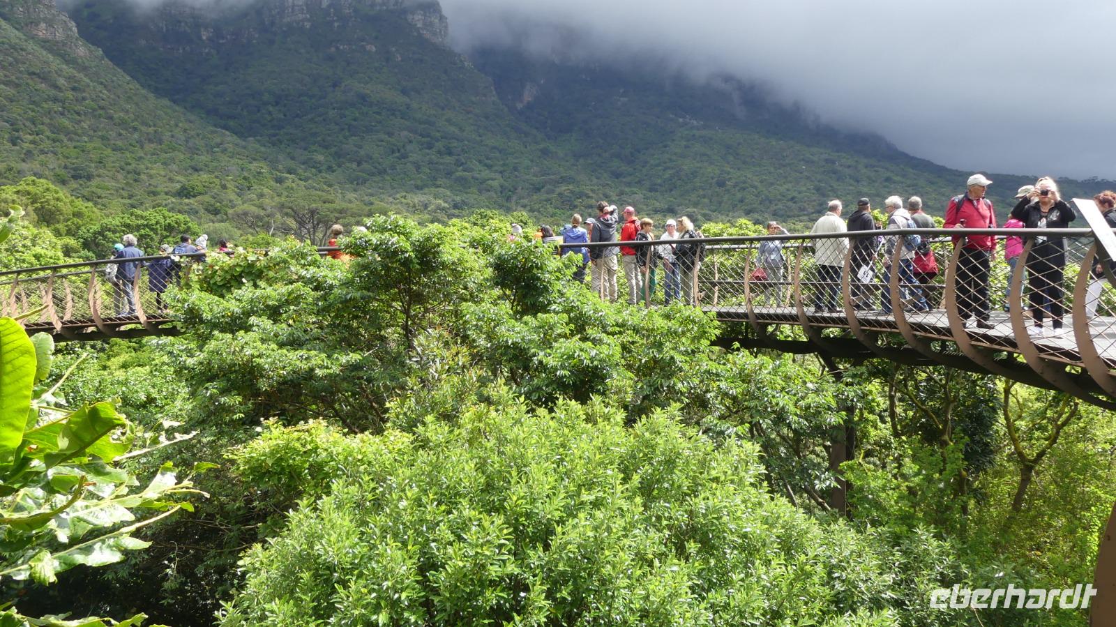 Botanischer Garten Kirstenbosch  &ndash; &copy; Frank Nimschowski (Eberhardt TRAVEL)
