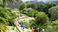 Botanischer Garten Kirstenbosch  &ndash; &copy; Frank Nimschowski (Eberhardt TRAVEL)