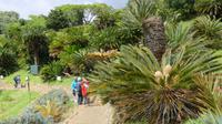 Botanischer Garten Kirstenbosch  &ndash; &copy; Frank Nimschowski (Eberhardt TRAVEL)