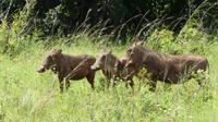 Shimba Hills &ndash; &copy; Frank Nimschowski (Eberhardt TRAVEL)