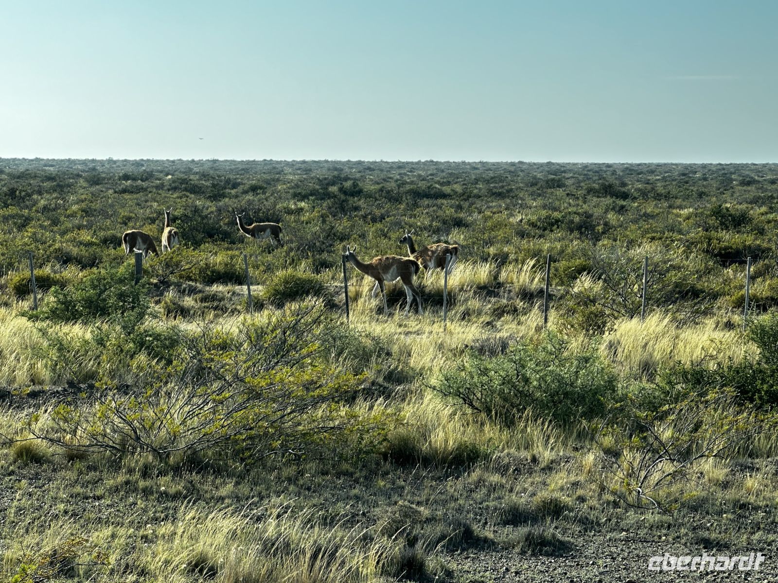 &copy; Dennis Teichmann (Eberhardt TRAVEL)