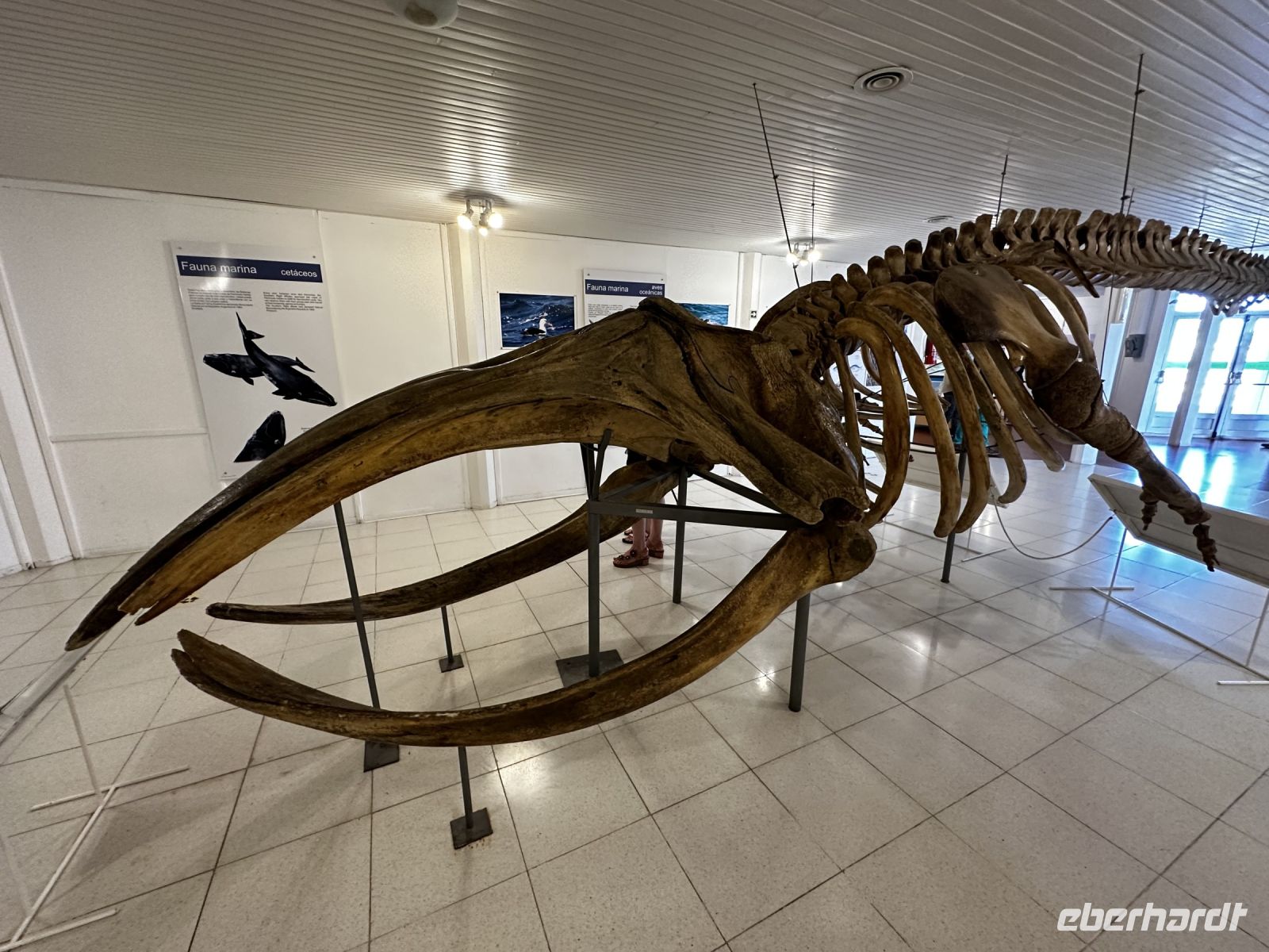 &copy; Dennis Teichmann (Eberhardt TRAVEL)