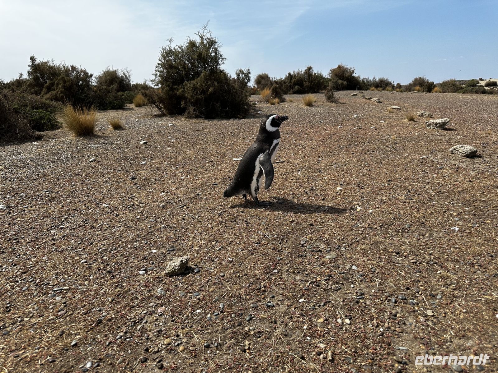 &copy; Dennis Teichmann (Eberhardt TRAVEL)