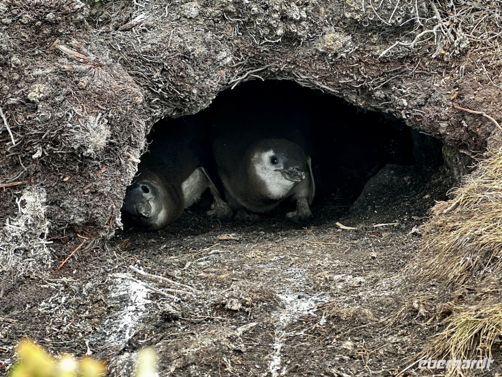 &copy; Dennis Teichmann (Eberhardt TRAVEL)