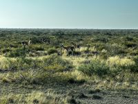 &copy; Dennis Teichmann (Eberhardt TRAVEL)