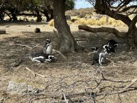 &copy; Dennis Teichmann (Eberhardt TRAVEL)