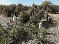 &copy; Dennis Teichmann (Eberhardt TRAVEL)
