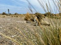 &copy; Dennis Teichmann (Eberhardt TRAVEL)