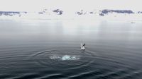 Antarctica, Southern Ocean &ndash; &copy; Manuel Gonzalez Urrutia (Eberhardt TRAVEL)