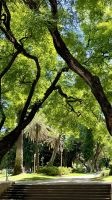 Retiro, Buenos Aires, Argentina &ndash; &copy; Manuel González Urrutia (Eberhardt TRAVEL)