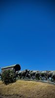 Parque Batlle, Ch, Uruguay &ndash; &copy; Manuel González Urrutia (Eberhardt TRAVEL)