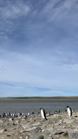 Stanley, Falkland Islands &ndash; &copy; Manuel González Urrutia (Eberhardt TRAVEL)