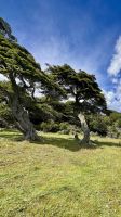 Tierra del Fuego, Argentina &ndash; &copy; Manuel González Urrutia (Eberhardt TRAVEL)