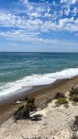 Punta Norte, Halbinsel Valdes, Chubut, Argentina &ndash; &copy; Manuel González Urrutia (Eberhardt TRAVEL)