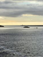 Falkland Insel! &ndash; &copy; Manuel González Urrutia (Eberhardt TRAVEL)