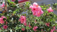 Spaziergang durch Antofagasta, Chile &ndash; &copy; Maria Drewans (Eberhardt TRAVEL)