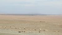 Atacama Wüste, Chile &ndash; &copy; Maria Drewans (Eberhardt TRAVEL)