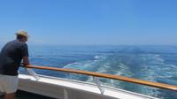 MS Amadea auf See