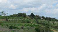 Trockenwald, Ecuador &ndash; &copy; Maria Drewans (Eberhardt TRAVEL)