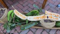 Schnappschuss, Ecuador &ndash; &copy; Maria Drewans (Eberhardt TRAVEL)