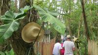 Spaziergang durch den Regenwald, Pacoche Lodge, Ecuador &ndash; &copy; Maria Drewans (Eberhardt TRAVEL)