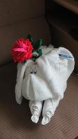 Handtuch-Tier &ndash; &copy; Maria Drewans (Eberhardt TRAVEL)