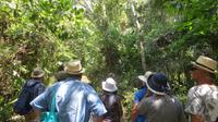 Spaziergang durch den Carara Nationalpark, Costa Rica &ndash; &copy; Maria Drewans (Eberhardt TRAVEL)