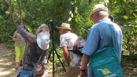 Spaziergang durch den Carara Nationalpark, Costa Rica &ndash; &copy; Maria Drewans (Eberhardt TRAVEL)