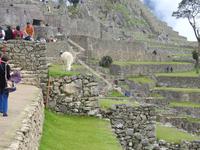 Machu Pichu &ndash; &copy; Sabine Letzybyll (Eberhardt TRAVEL)