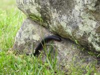 Machu Pichu &ndash; &copy; Sabine Letzybyll (Eberhardt TRAVEL)