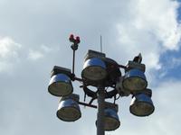 Vogel &ndash; &copy; Sabine Letzybyll (Eberhardt TRAVEL)