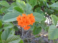 Tulum &ndash; &copy; Sabine Letzybyll (Eberhardt TRAVEL)
