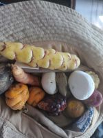 Produkte aus Peru Landwirtschaft mit getrockneten Kartoffeln @ Anette Rietz EHT &ndash; &copy; Anette Rietz (Eberhardt TRAVEL)