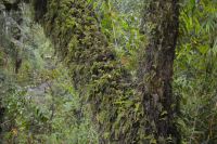 Chile und Osterinsel -  Ojos del Caburga (6) &ndash; &copy; Franziska Barthel (Eberhardt TRAVEL)