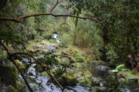 Chile und Osterinsel -  Ojos del Caburga (9) &ndash; &copy; Franziska Barthel (Eberhardt TRAVEL)