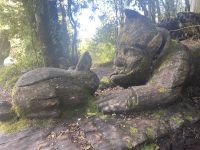 Chile und Osterinsel -  Salto Huilo Huilo (10) &ndash; &copy; Franziska Barthel (Eberhardt TRAVEL)