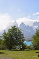 Chile und Osterinsel -  Torres del Paine (15) &ndash; &copy; Franziska Barthel (Eberhardt TRAVEL)