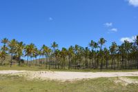 Chile und Osterinsel - Anakena (3) &ndash; &copy; Franziska Barthel (Eberhardt TRAVEL)