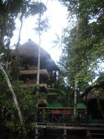Tapir Lodge &ndash; &copy; Sylvia Sann (Eberhardt TRAVEL)