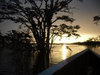 Sonnenuntergang über den Cuyabeno-See &ndash; &copy; Sylvia Sann (Eberhardt TRAVEL)