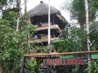 Tapir Lodge &ndash; &copy; Sylvia Sann (Eberhardt TRAVEL)