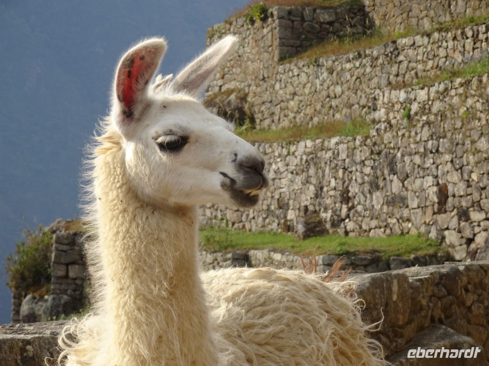 Peru Machu Picchu  &ndash; &copy; Sabine Letzybyll (Eberhardt TRAVEL)