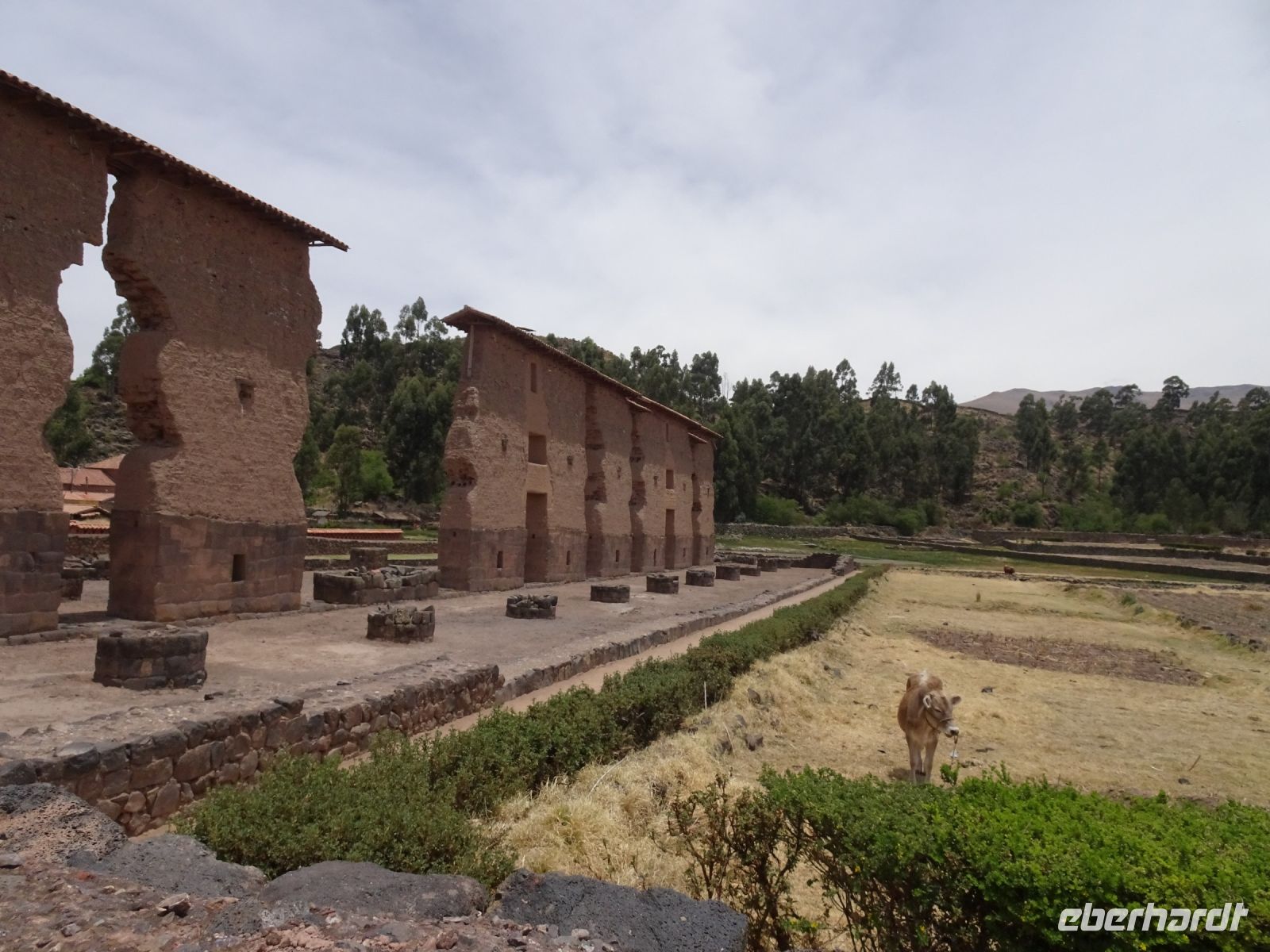 Peru Raqchi  &ndash; &copy; Sabine Letzybyll (Eberhardt TRAVEL)