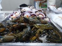 Peru- Lima - Markt  &ndash; &copy; Sabine Letzybyll (Eberhardt TRAVEL)