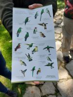 Peru Vögel &ndash; &copy; Sabine Letzybyll (Eberhardt TRAVEL)