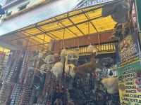 Bolivien - La Paz  &ndash; &copy; Sabine Letzybyll (Eberhardt TRAVEL)